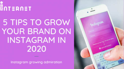 5 Tips to Grow Your Brand on Instagram in 2020